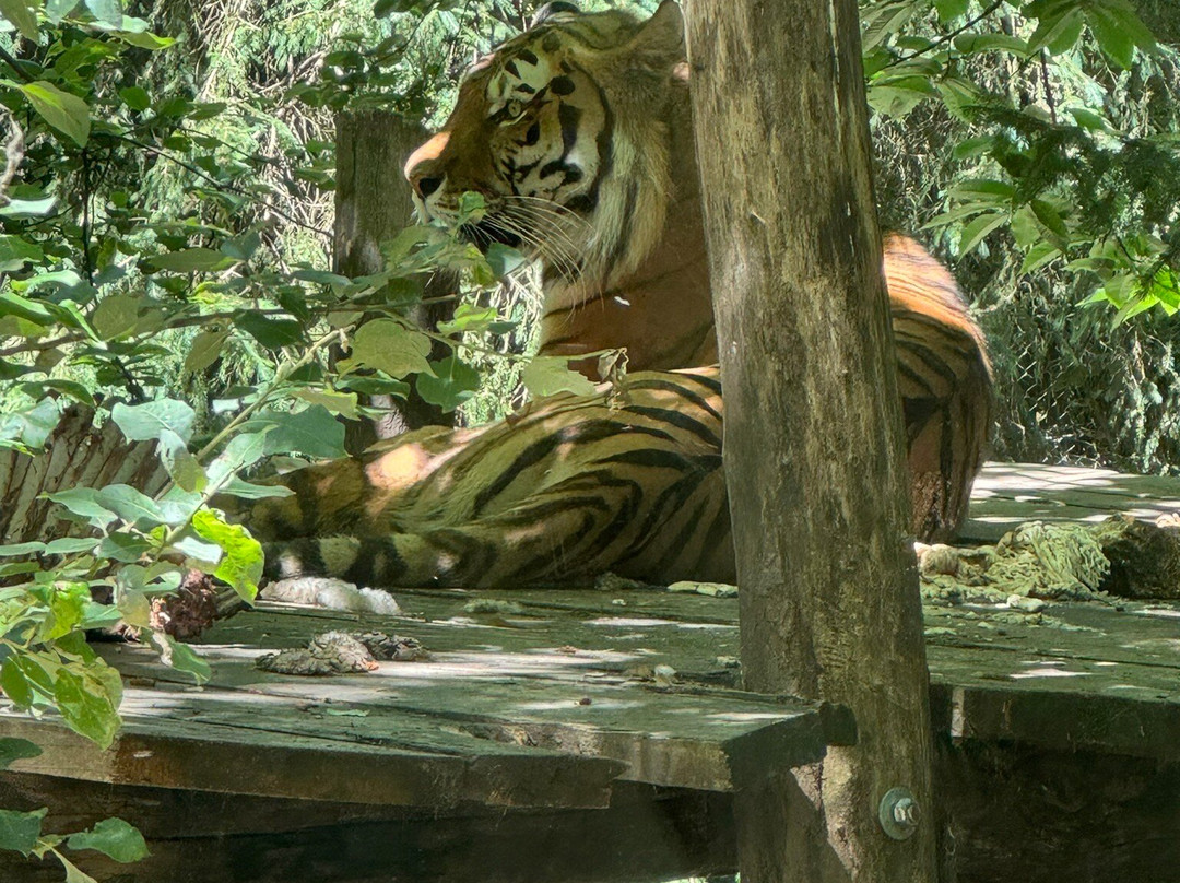 Zoo Ljubljana-卢布尔雅那必去景点