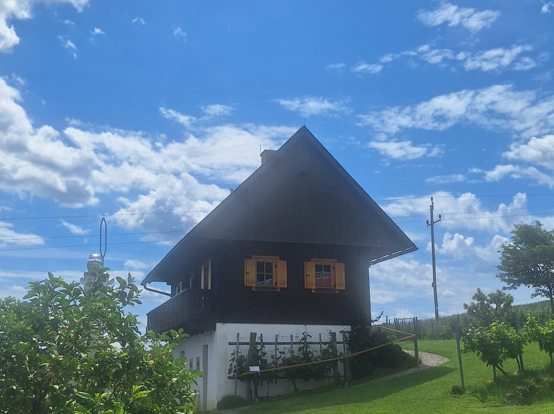 Weingut Triebl