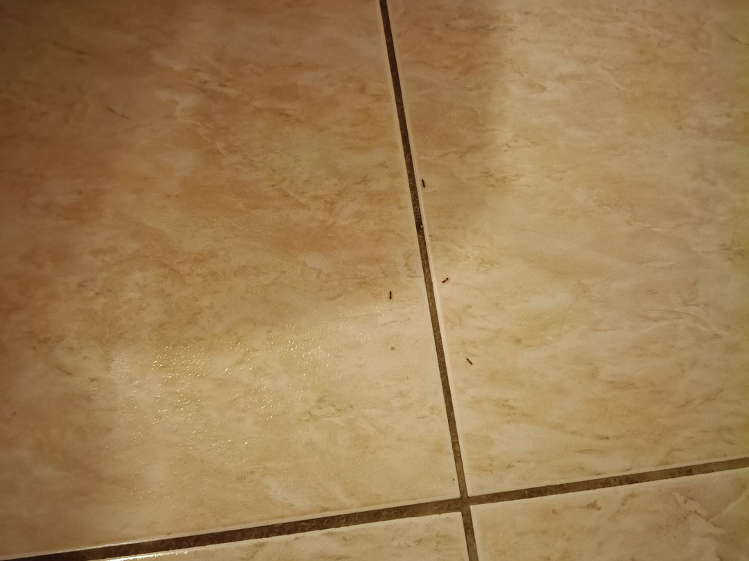 Panorama Studios Apartments主图