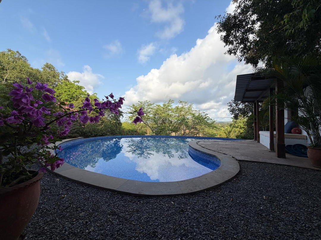 Capella Forest Retreat & Homestay主图