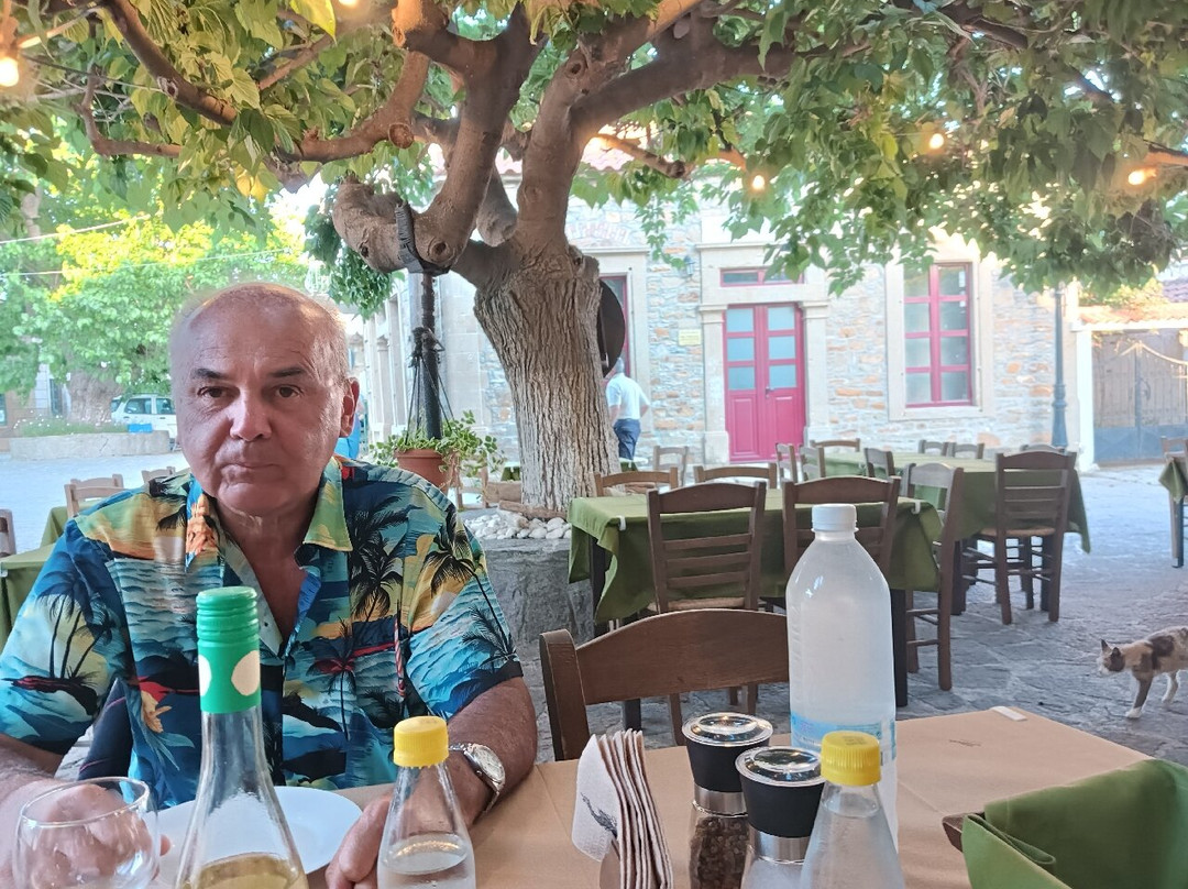 Tavérna Drakótrypa