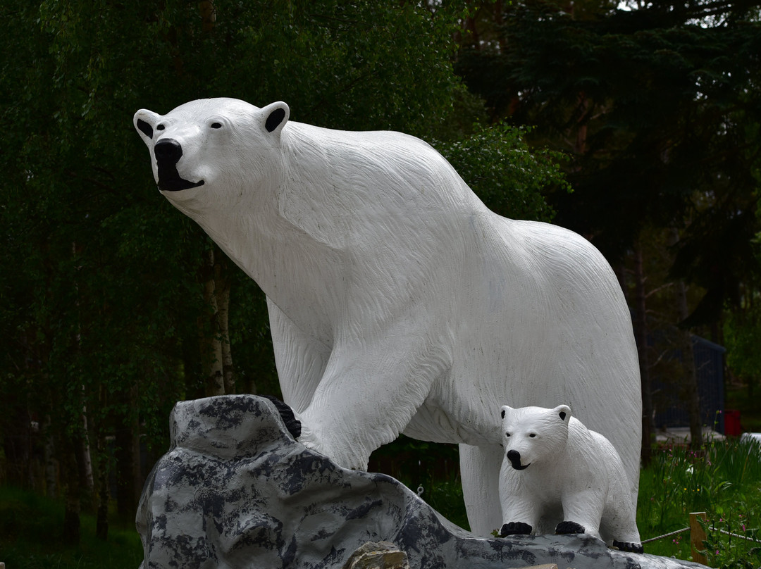 Highland Wildlife Park-Kincraig必去景点