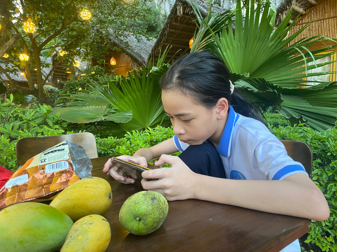 Thung Nham Ecotourism Zone - Ninh Binh-Ninh Hai必去景点