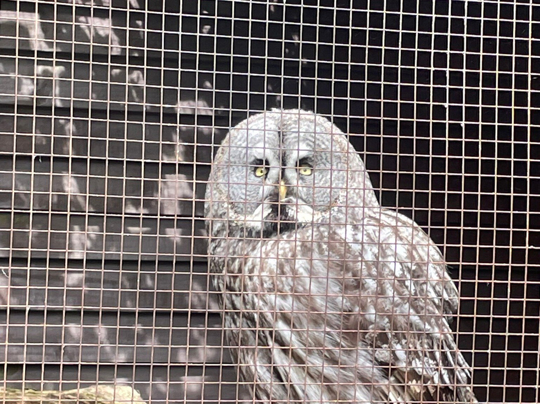 West Sussex Falconry-Compton必去景点