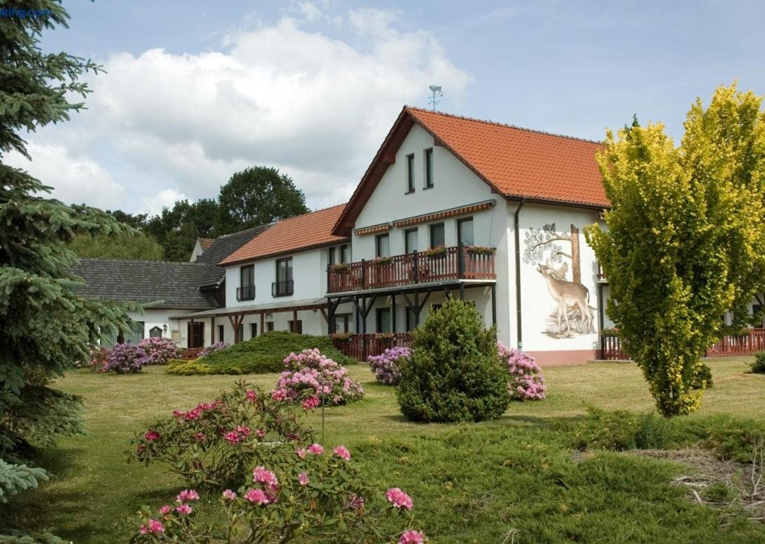 Gross Dueben酒店住宿-Hotel "Zur Wildtraenke"