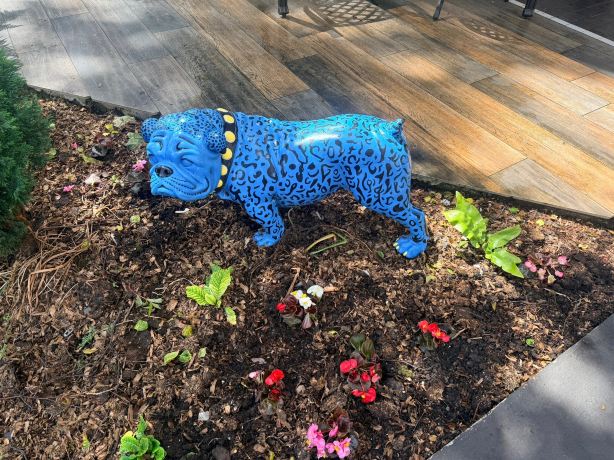 哈里森酒店-旅行者