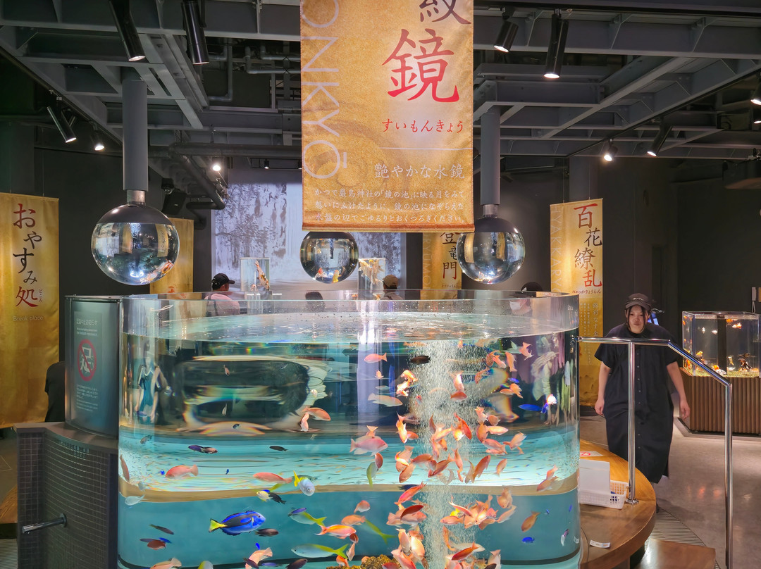 Miyajima Public Aquarium-廿日市市必去景点
