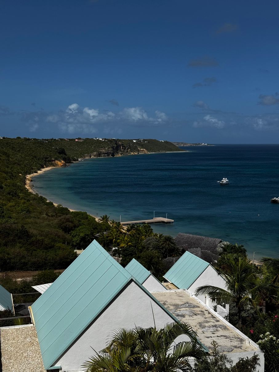 CeBlue Luxury Villas-旅行者