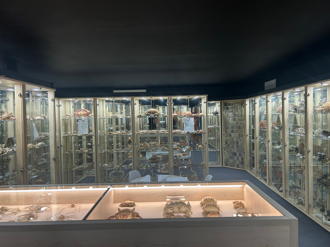 Museum du Coquillage-莱萨布勒多洛讷必去景点