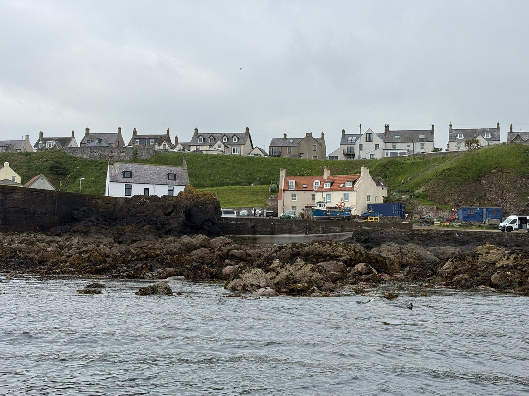 Eyemouth Rib Trips-Eyemouth必去景点