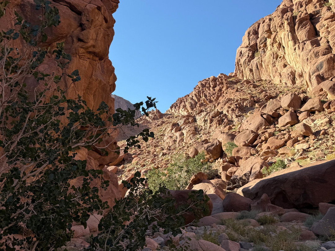 Sinai Hikes-圣卡特琳娜地区必去景点