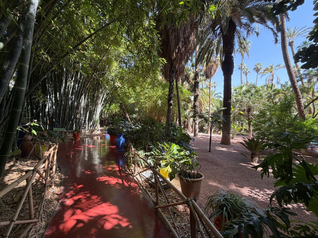 马拉喀什旅游景点-马若雷勒花园