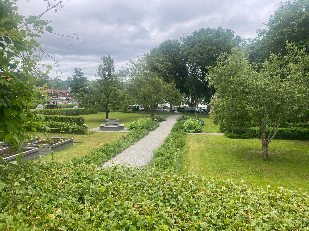 Draketradgarden