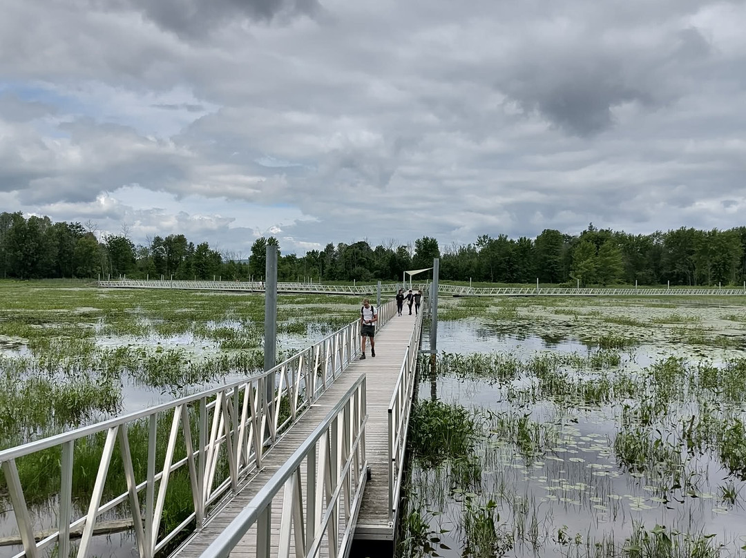 Parc National de Plaisance-Plaisance必去景点