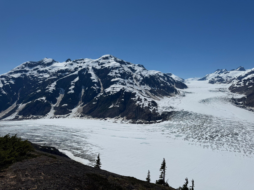Whitecap to Icecap Adventures-Stewart必去景点