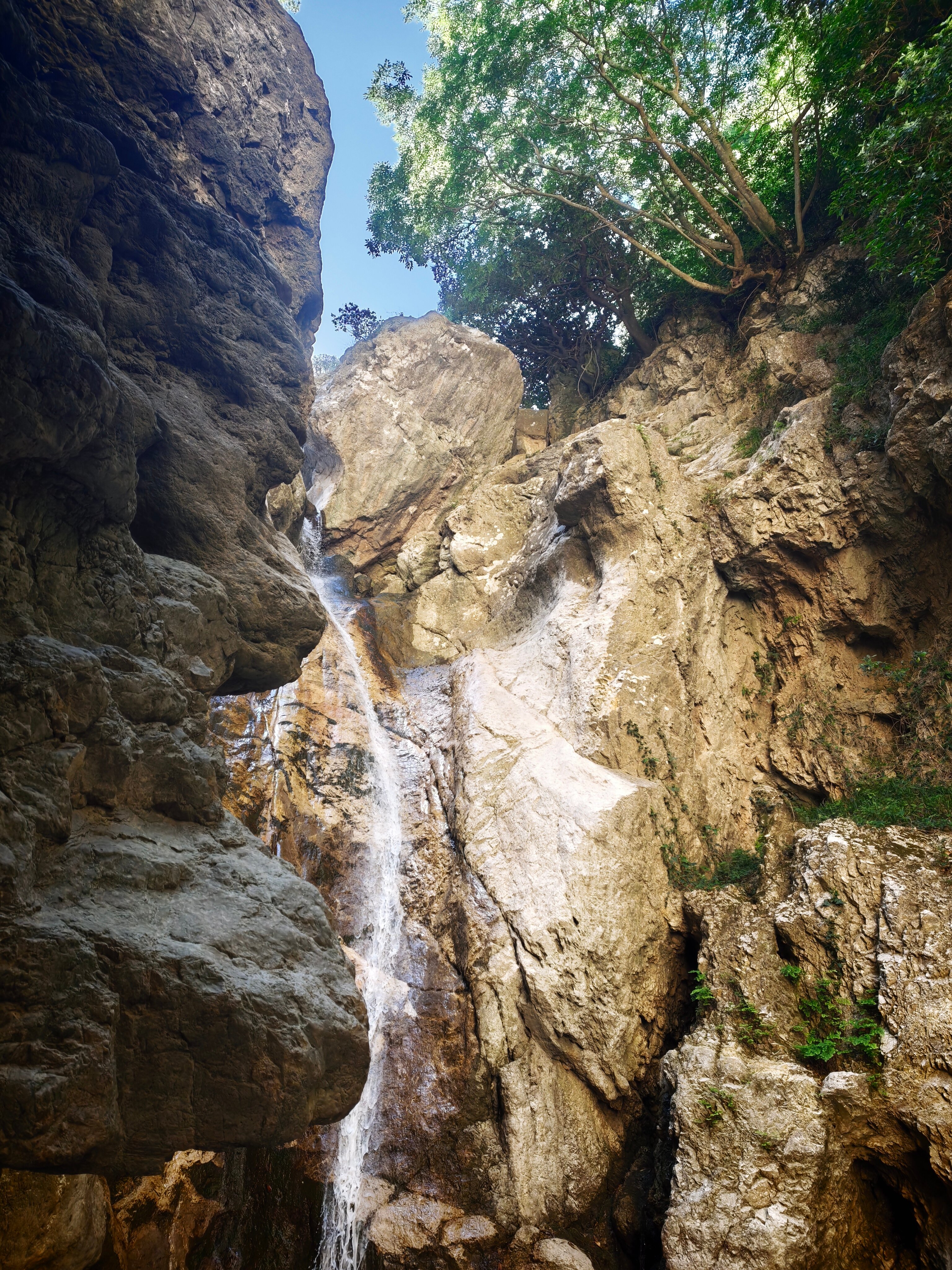 Agriturismo Cuore Siculo-旅行者