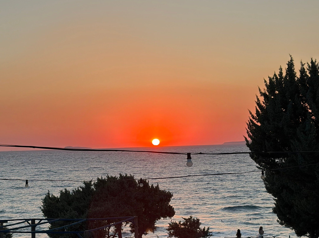 Dolphin bay taverna