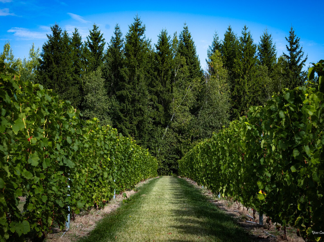 Vignoble Côte De Vaudreuil-沃德勒伊多里翁必去景点