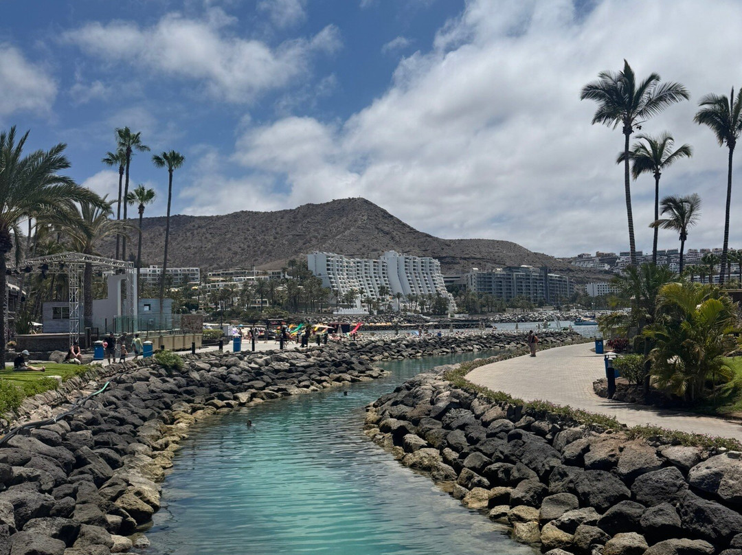 Playa Anfi del Mar-Barranco de la Verga必去景点