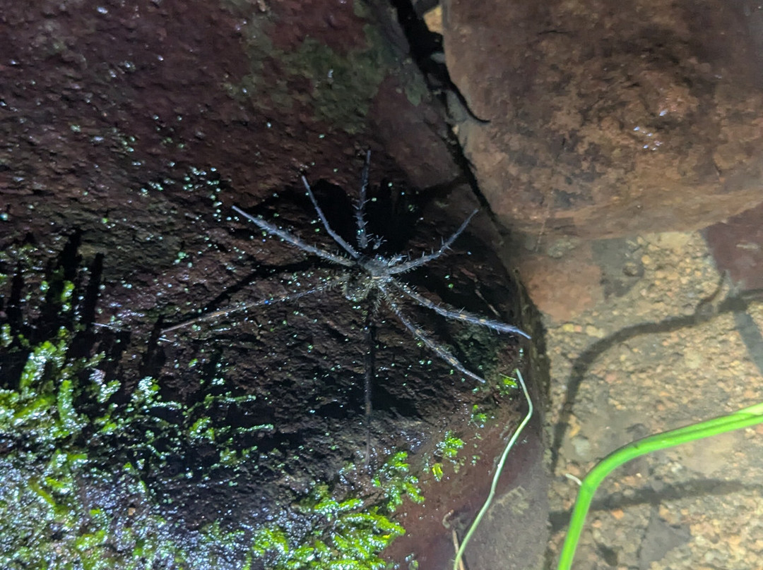 Jungle Life Costa Rica-Bijagua de Upala必去景点