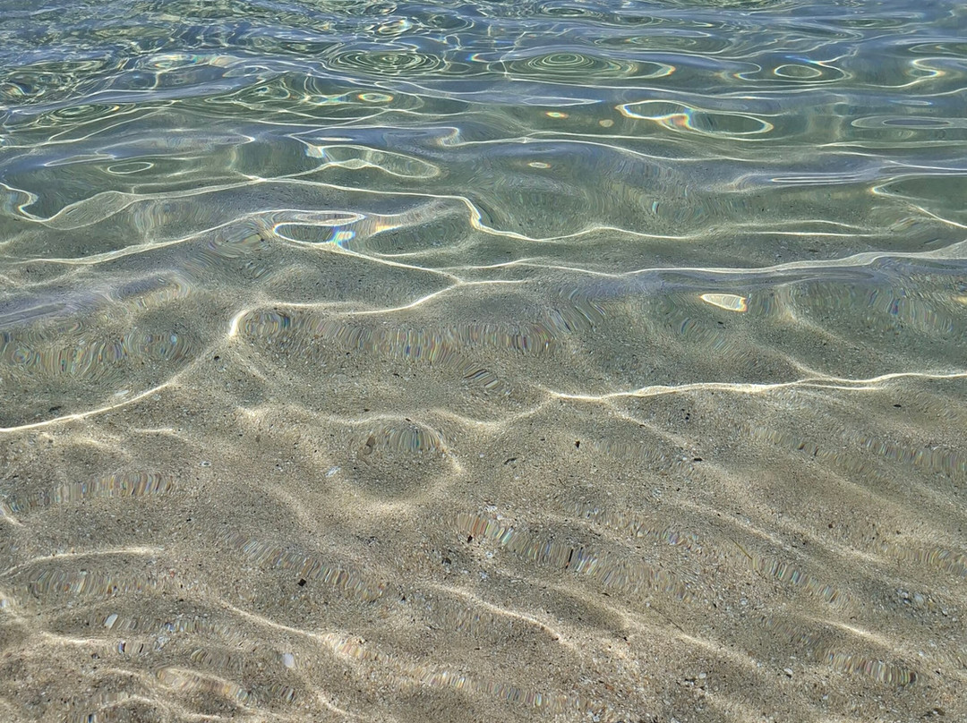 Spiaggia delle Cannelle-Isola del Giglio必去景点