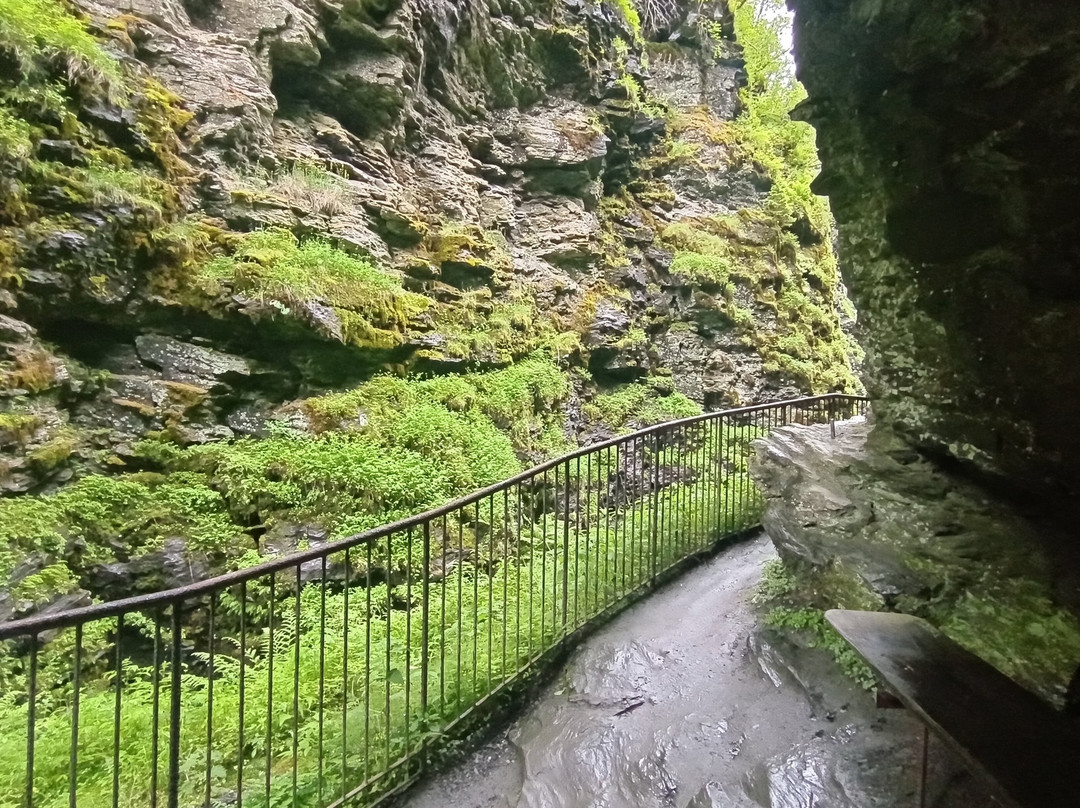 Bordalsgjelet Gorge-沃斯市必去景点