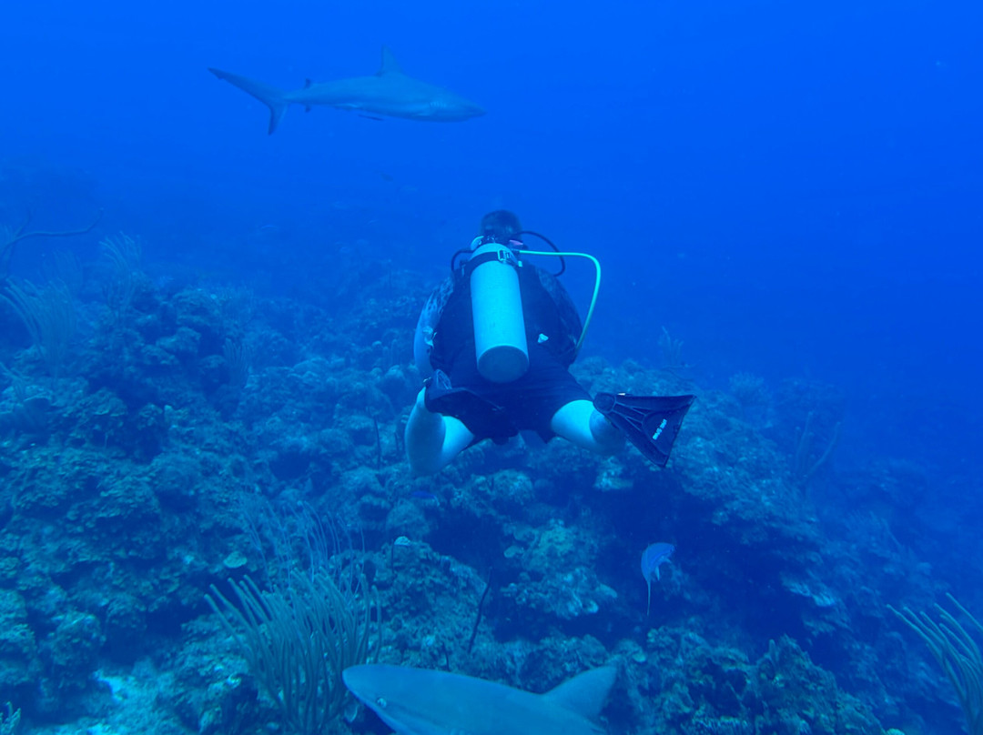 Dive BVI-Spanish Town必去景点