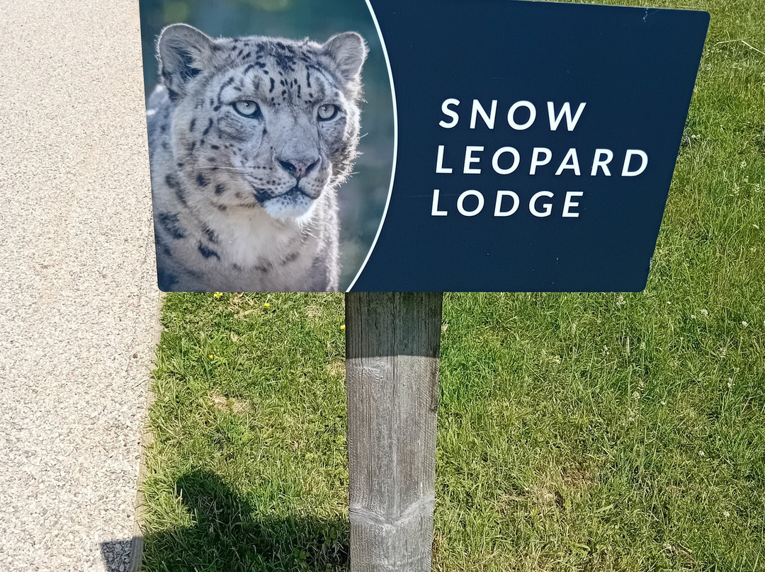 The Big Cat Sanctuary-Smarden必去景点
