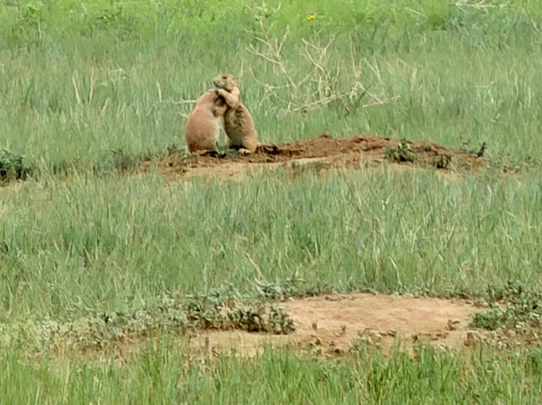 Rocky Mountain Arsenal National Wildlife Refuge-Commerce City必去景点