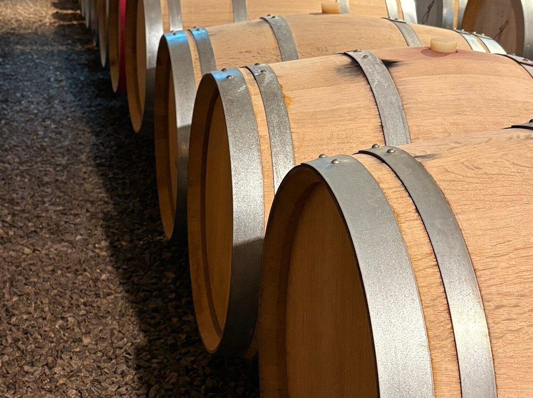 Weingut Hausammann-Uesslingen-Buch必去景点