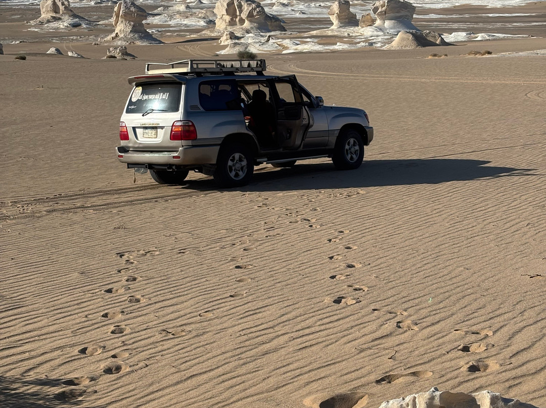 Cairo Top Tours-开罗必去景点