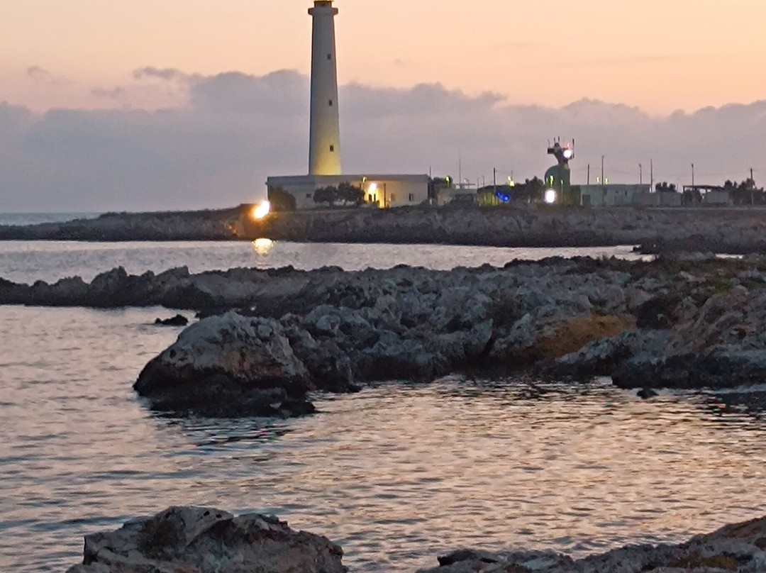Cala del Pozzo-法维格纳纳必去景点