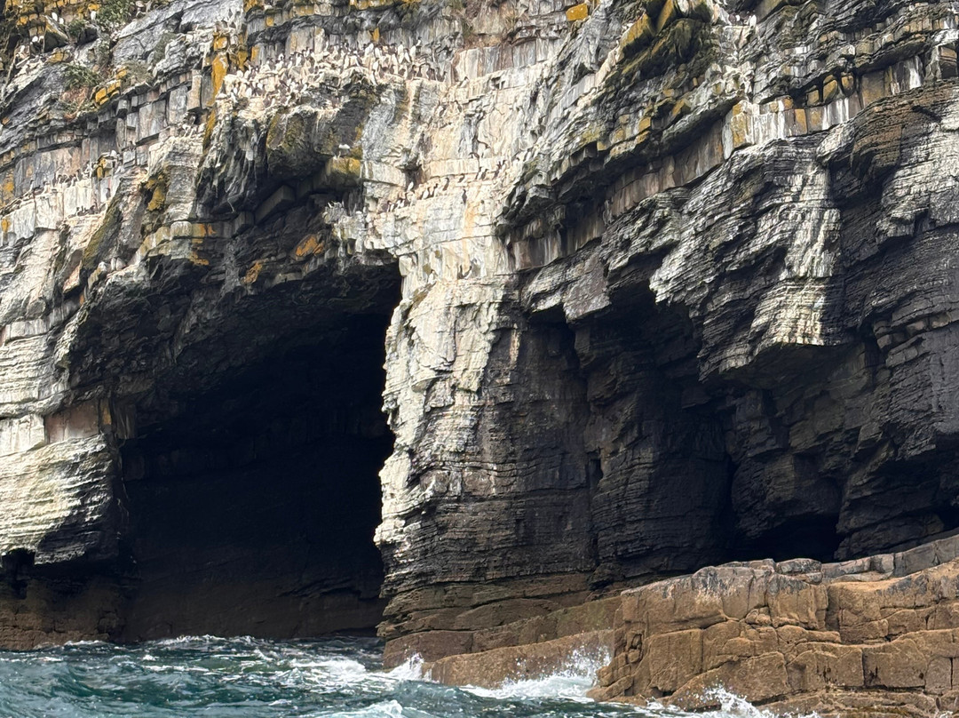 Abersoch Boat Trips-Abersoch必去景点