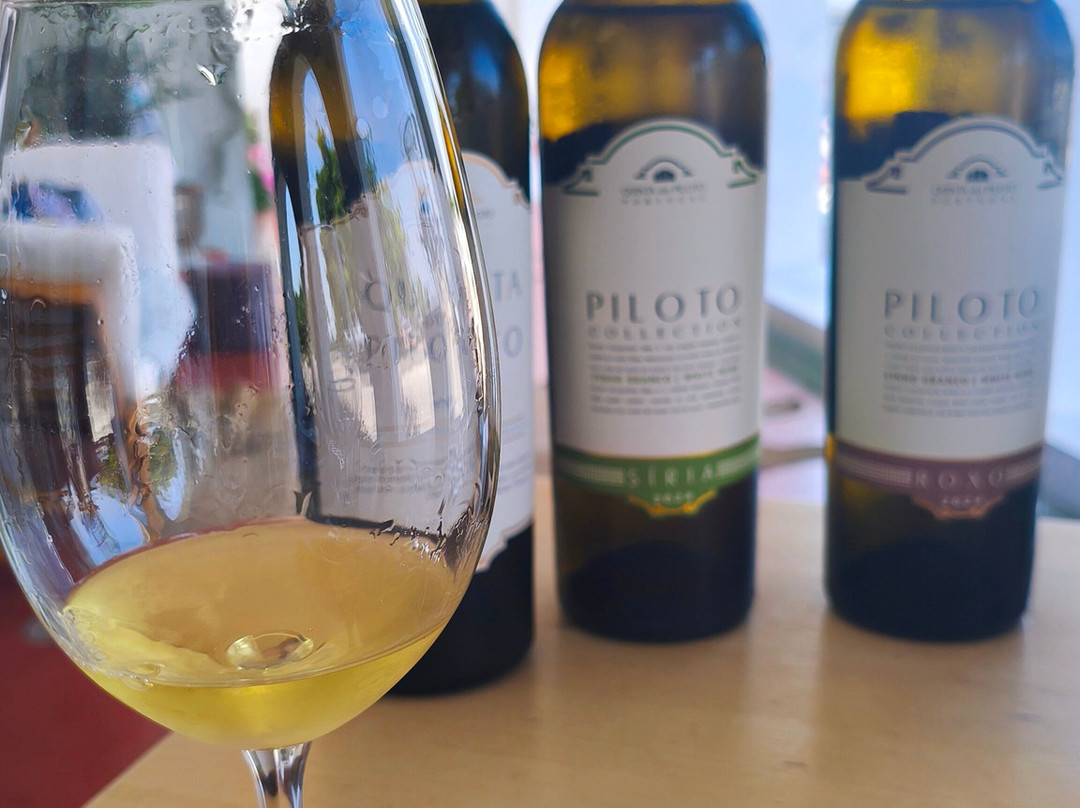 Quinta do Piloto-Palmela必去景点