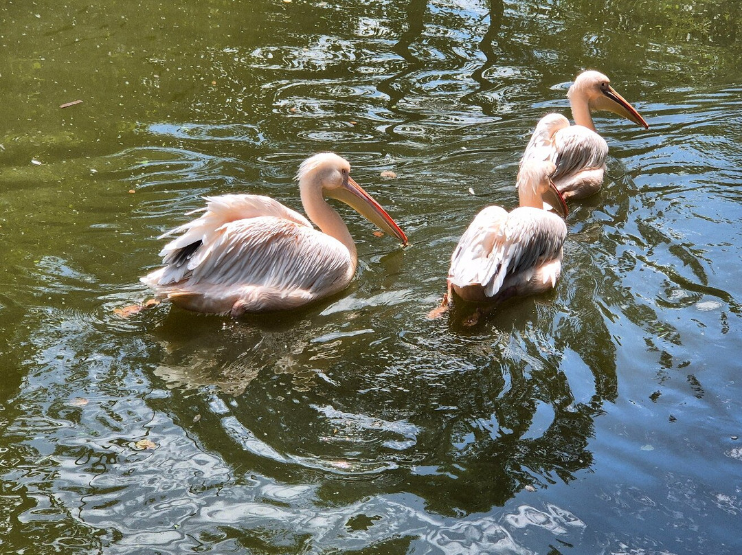 Zoo Ljubljana-卢布尔雅那必去景点