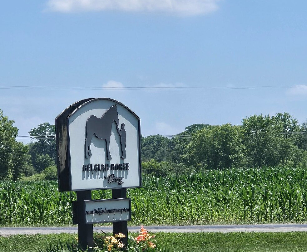 Belgian Horse Winery-Middletown必去景点