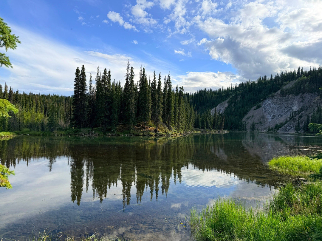 Horseshoe Lake Trail-德纳利国家公园和自然保护区必去景点