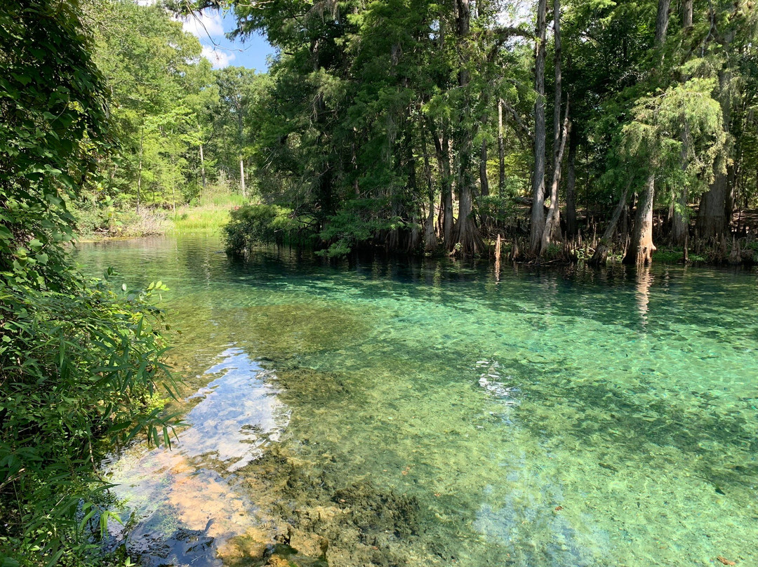 Manatee Springs State Park-Chiefland必去景点