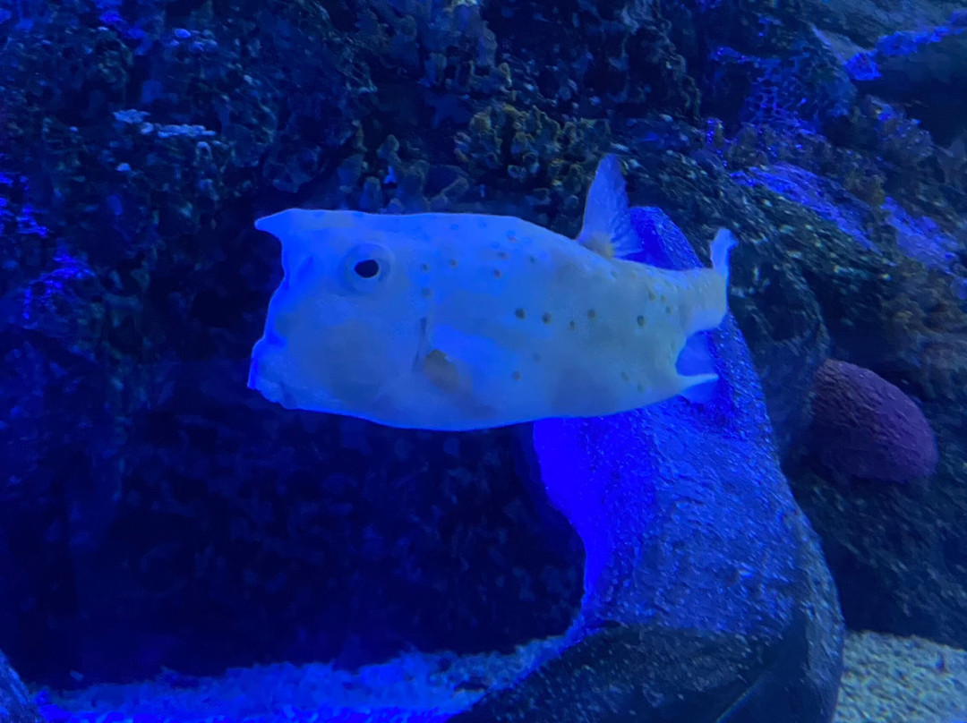 Sea Life Scarborough-斯卡伯勒必去景点