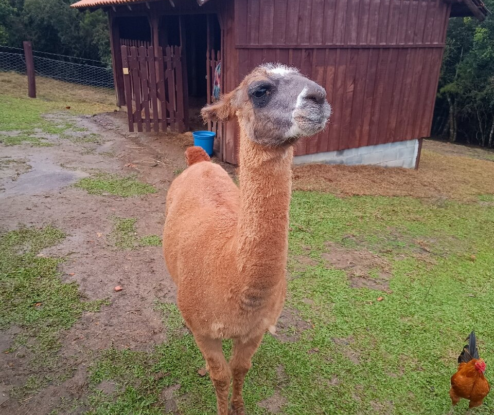 Sesc Pousada Rural em Lages主图