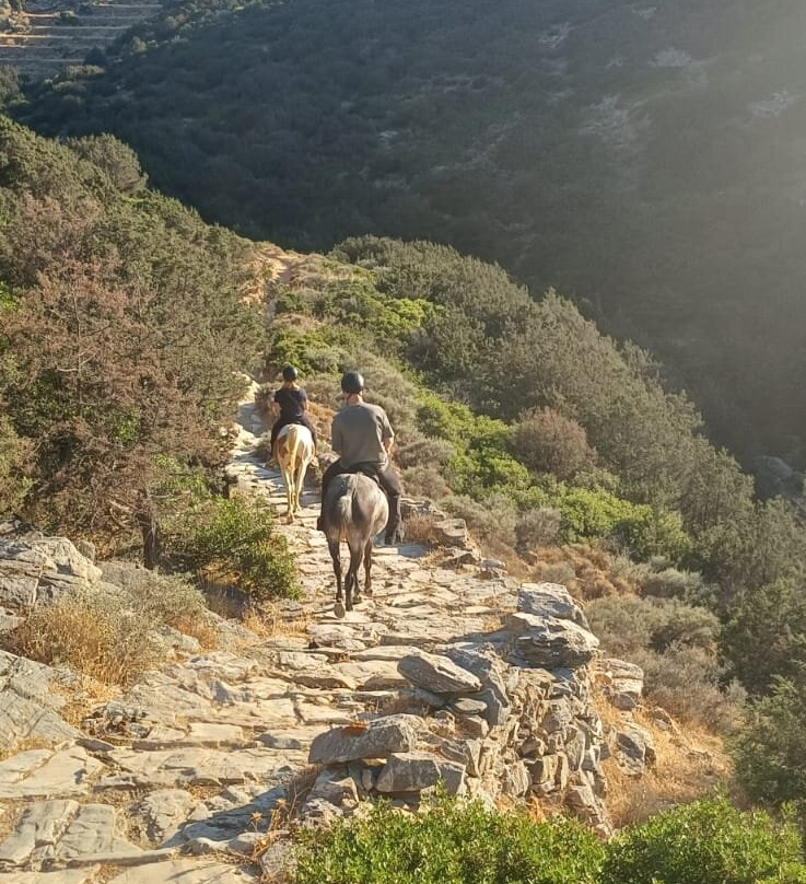 Sifnos Horseriding-锡弗诺斯岛必去景点