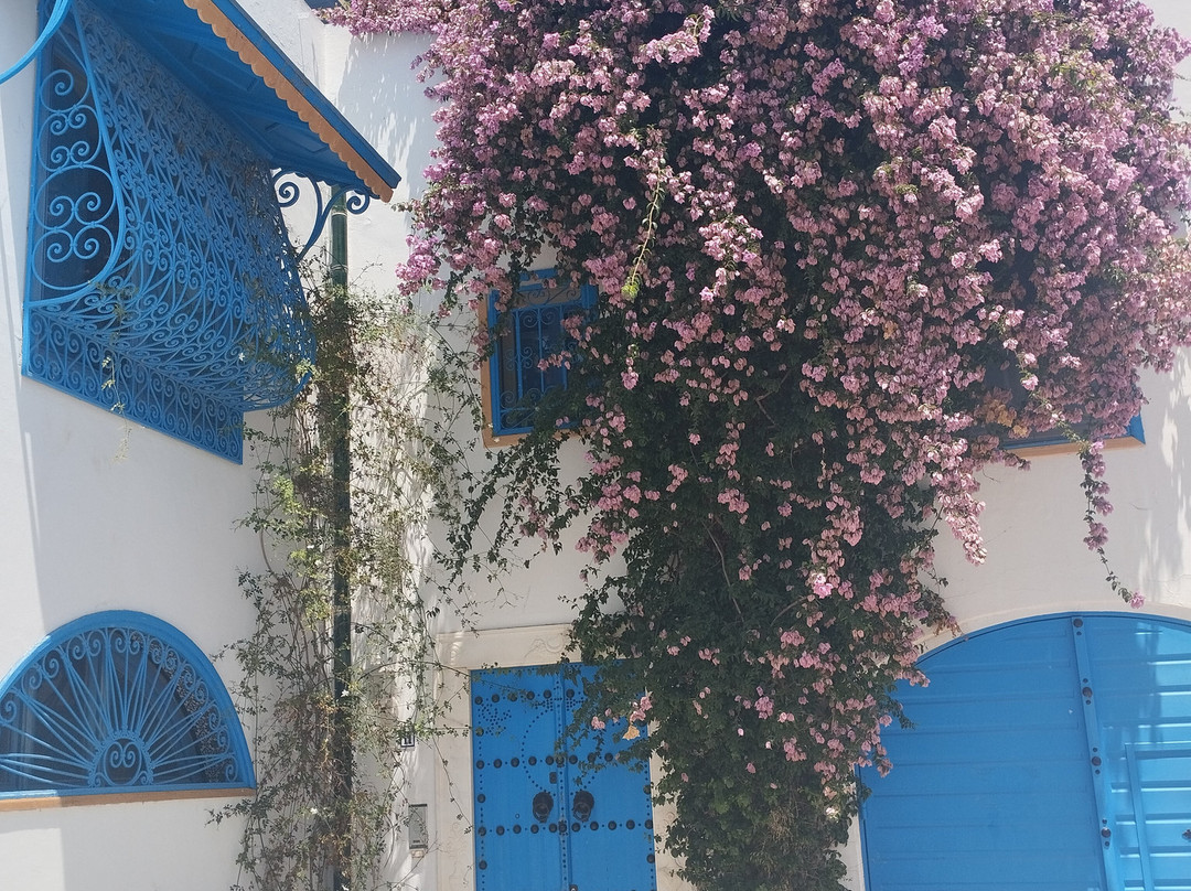 Sidi Bou Said-蓝白小镇必去景点