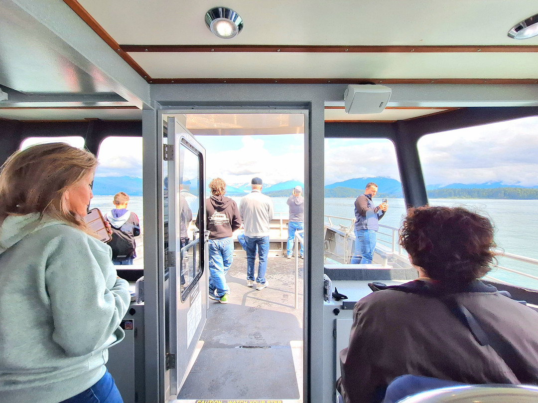 Juneau Tours & Whale Watch-朱诺必去景点
