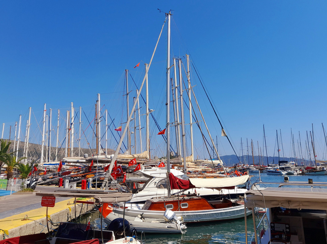 Milta Bodrum Marina-博德鲁姆必去景点