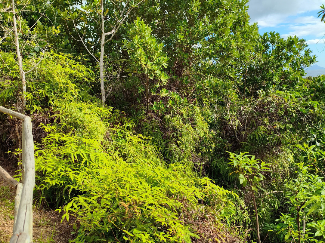 Maresias - Paúba Trail-Maresias必去景点