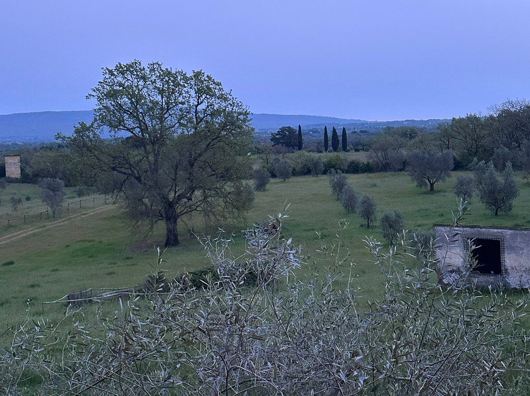 Tenuta di Paternostro主图