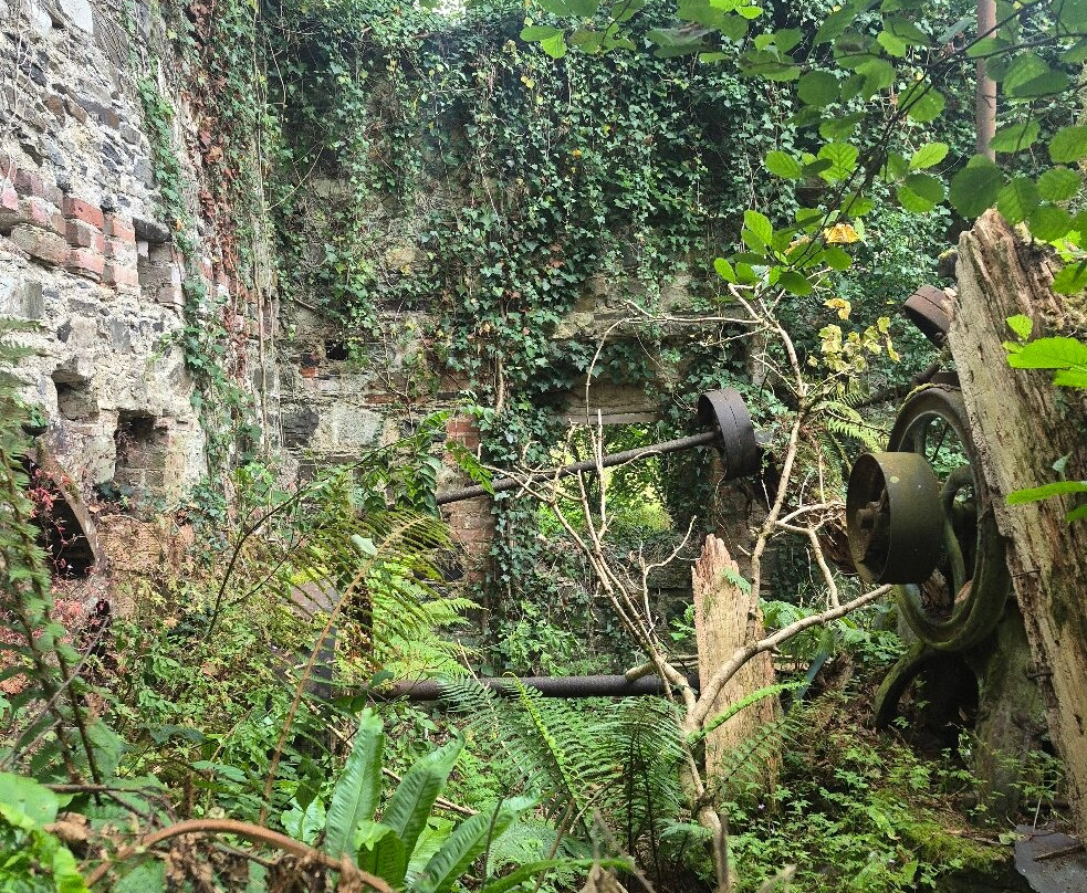 Lacken Millhouse and Gardens主图