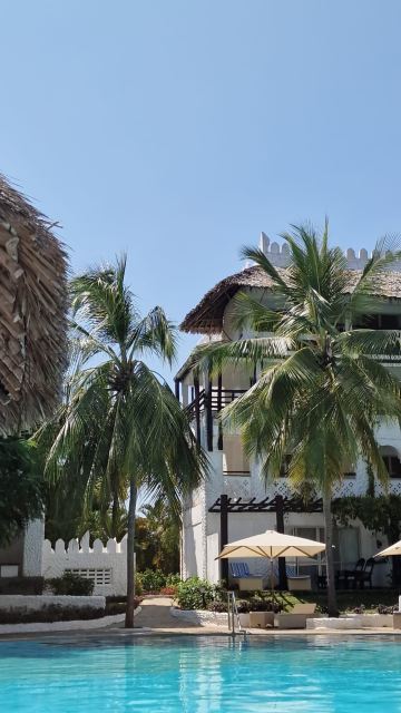 南方棕榈沙滩度假村-旅行者