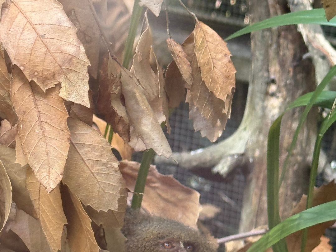 Shaldon Wildlife Trust-Shaldon必去景点