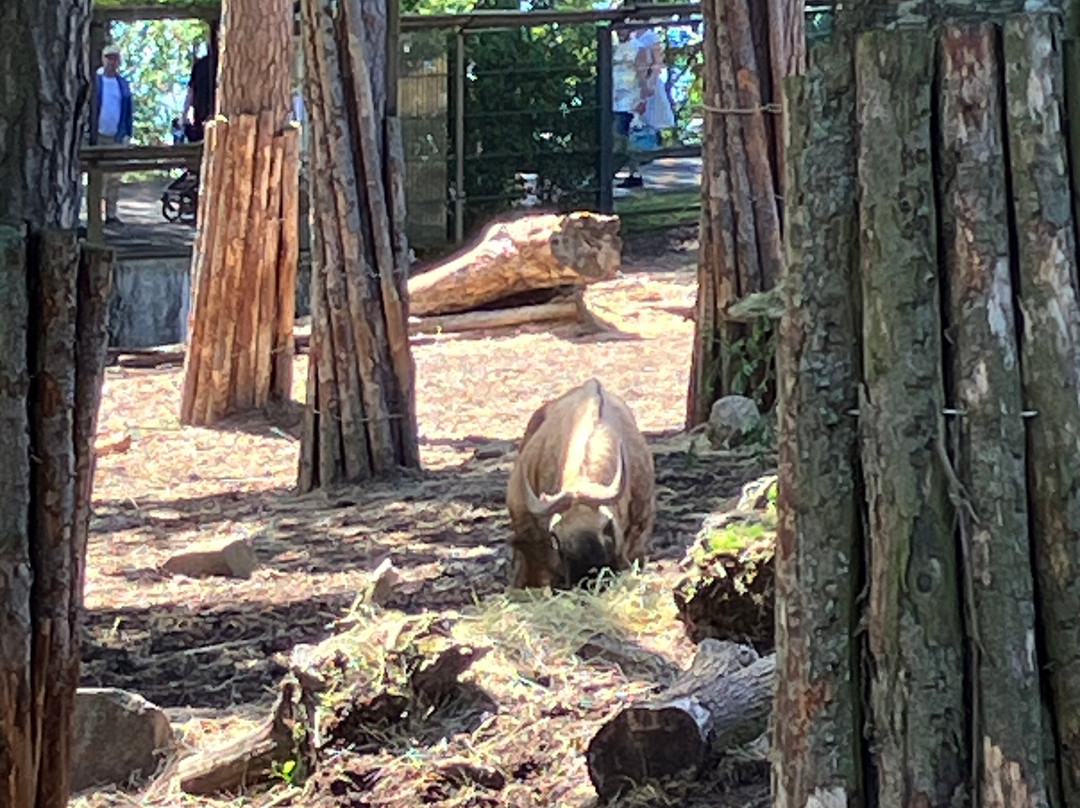 Korkeasaari Zoo-赫尔辛基必去景点